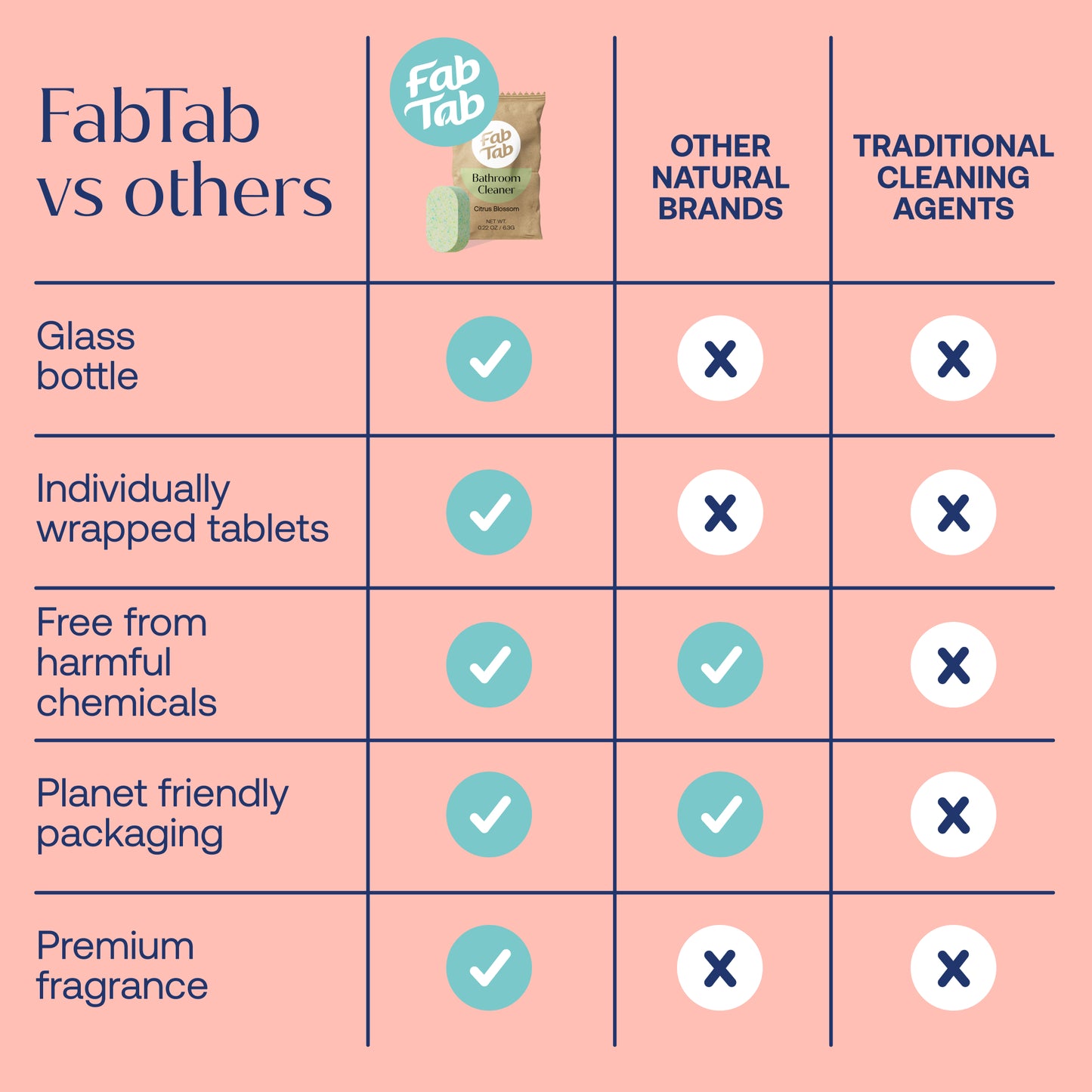Eco-Friendly, Plastic Free and Non-Toxic Bathroom Cleaner Starter Kit from FabTab