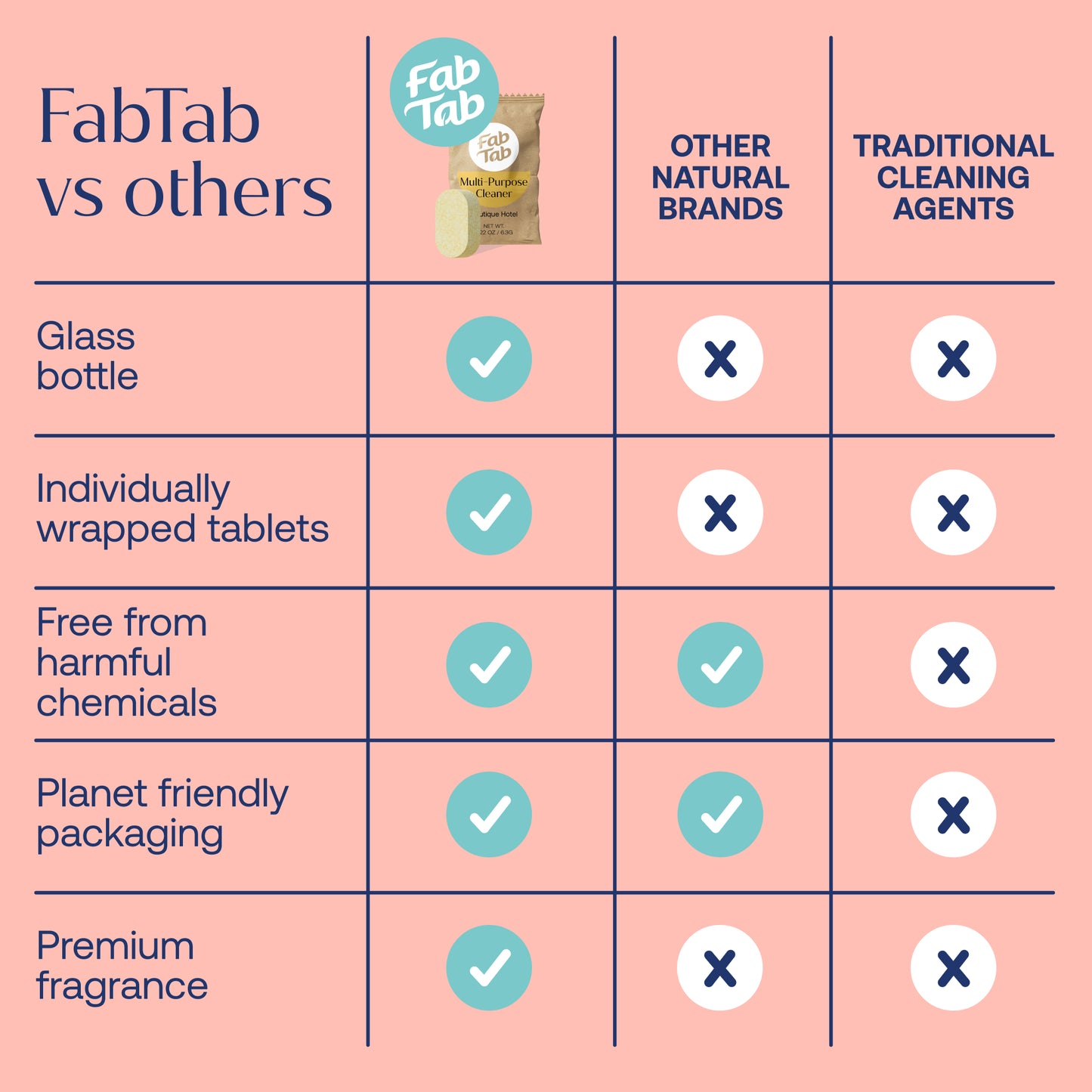 Eco-Friendly, Plastic Free and Non-Toxic Multi-Purpose Cleaner Starter Kit from FabTab