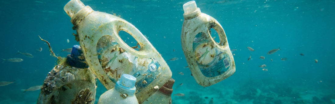 Plastic Free: What It Really Means