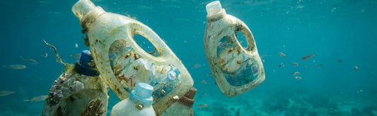 Plastic Free: What It Really Means
