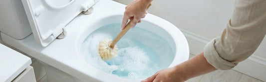 Eco Friendly Toilet Cleaning Tablets That Work